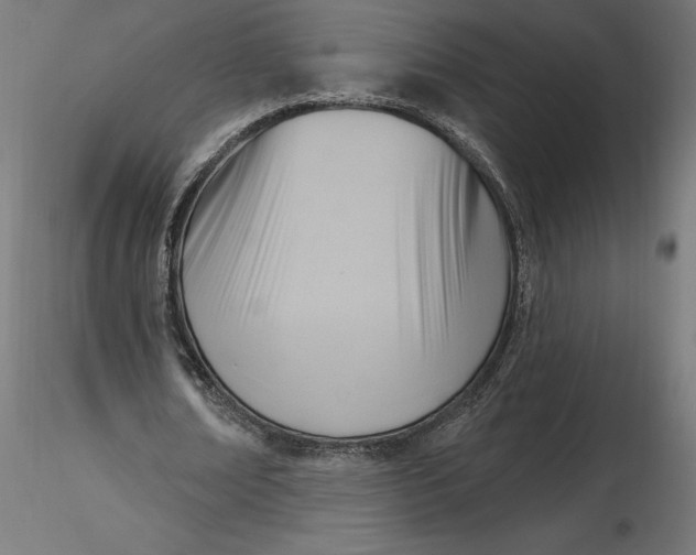 X0000116650674200912291617