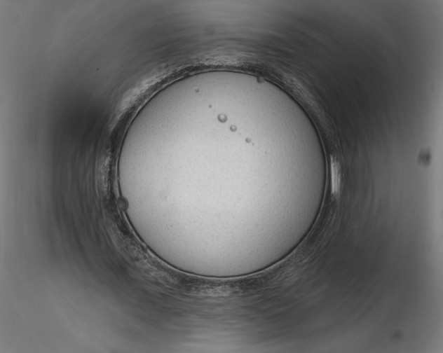 X0000116650675200912291617