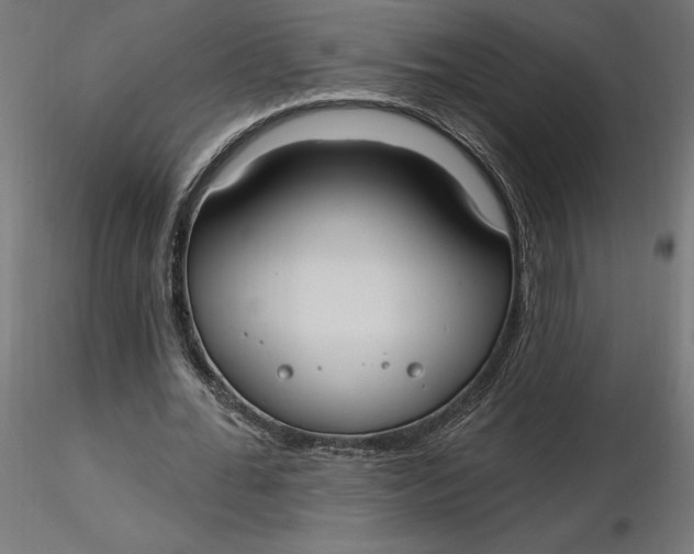 X0000116650676200912291617