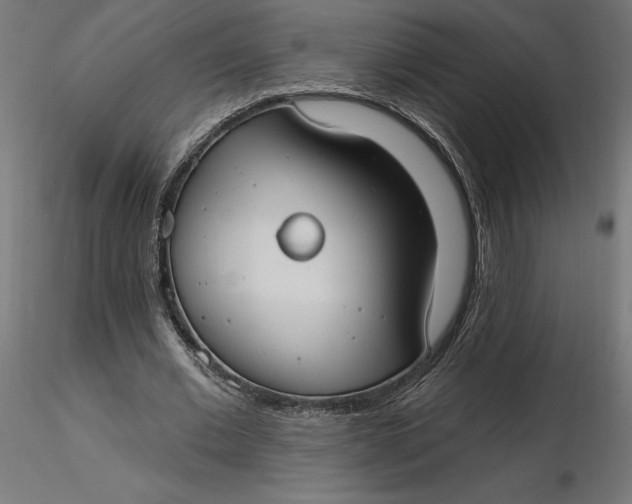 X0000116650677200912291617