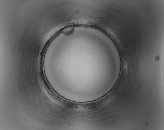 X0000116650678200912291617