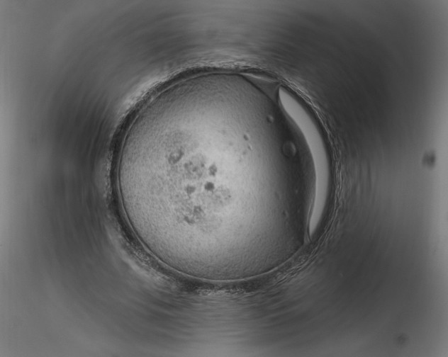 X0000116650679200912291617