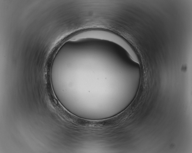 X0000116650680200912291617