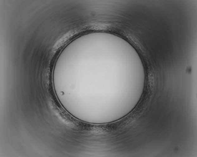 X0000116650682200912291616