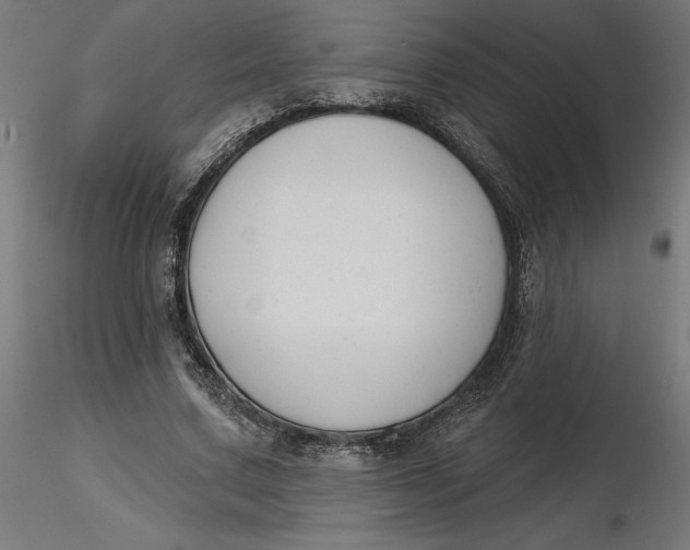 X0000116650683200912291616