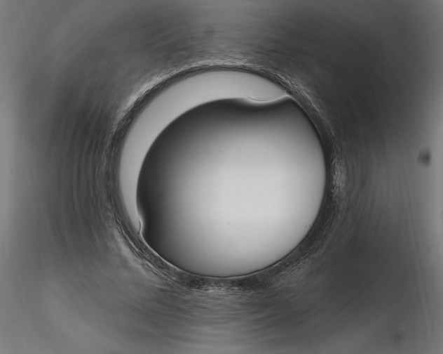 X0000116650684200912291616