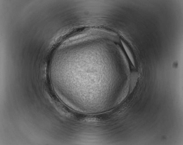 X0000116650685200912291616