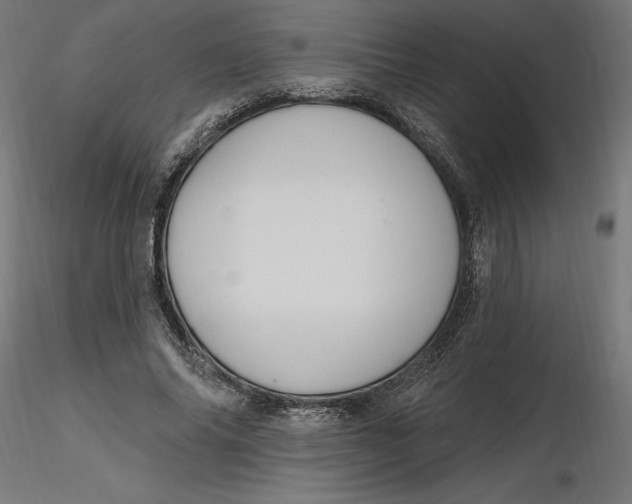 X0000116650686200912291616