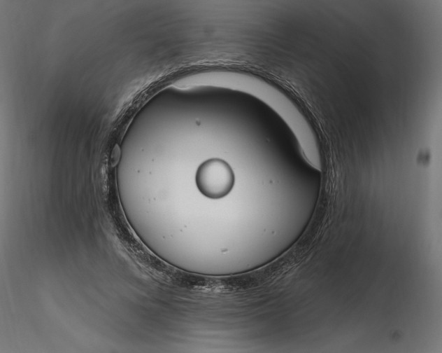 X0000116650688200912291616