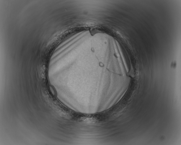 X0000116650689200912291616