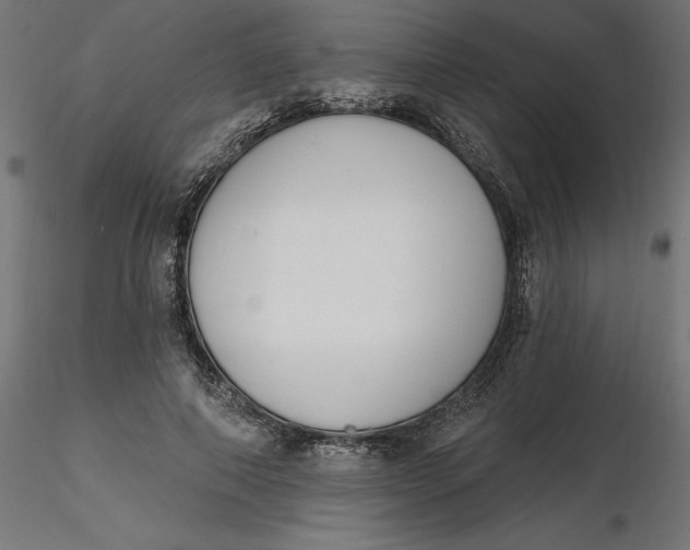 X0000116650690200912291616