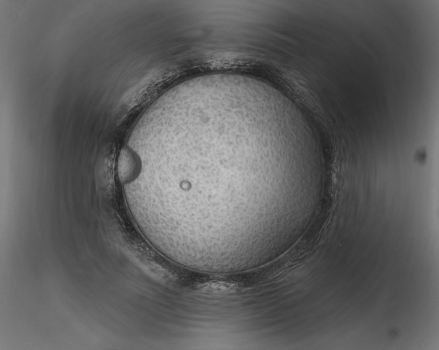 X0000116650691200912291616