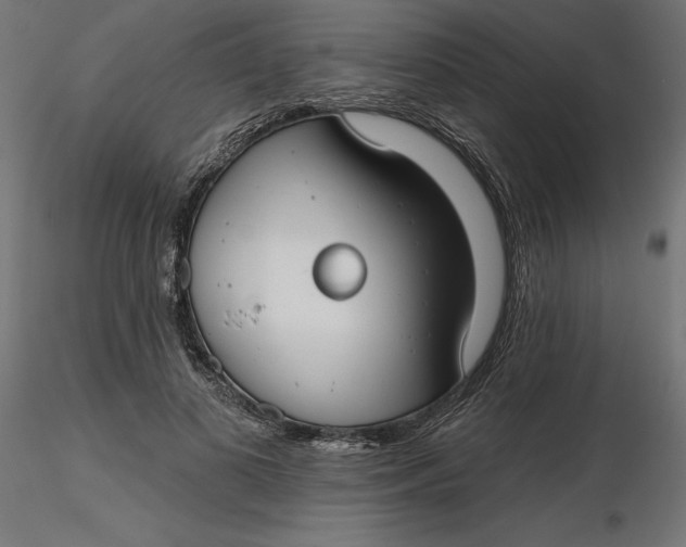 X0000116650693200912291616