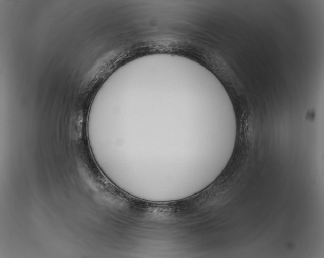 X0000116650694200912291616