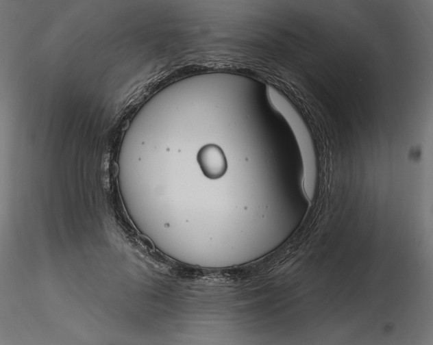 X0000116650696200912291616