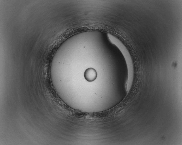 X0000116650697200912291616