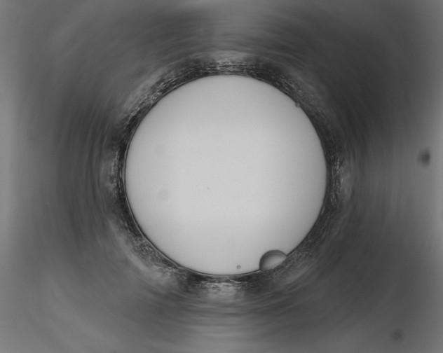 X0000116650698200912291616