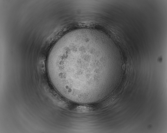 X0000116650699200912291616