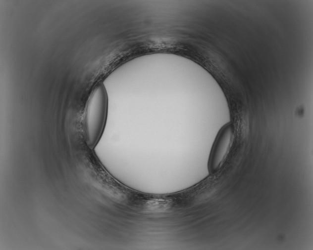 X0000116650700200912291616