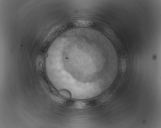 X0000116650701200912291616