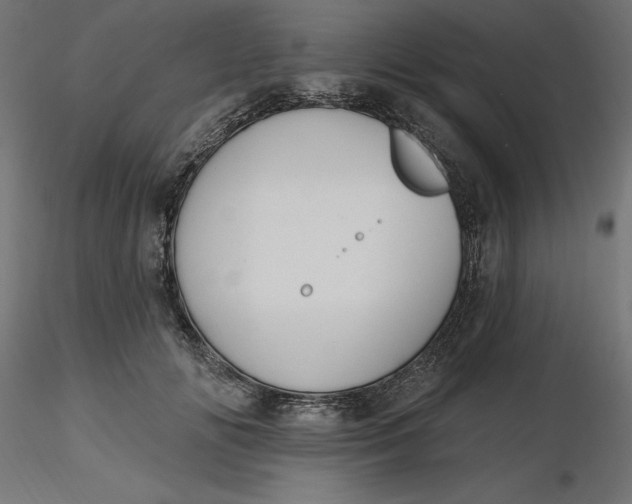 X0000116650702200912291616