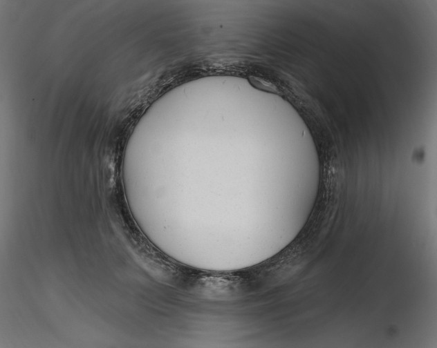 X0000116650703200912291616