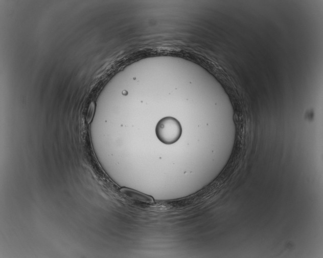 X0000116650704200912291616