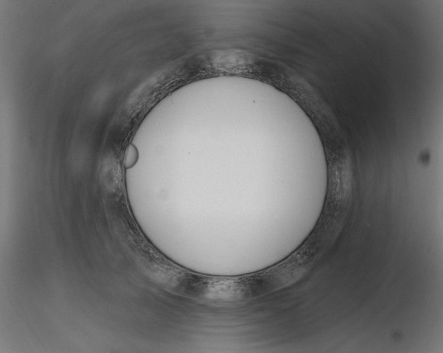 X0000116650705200912291616