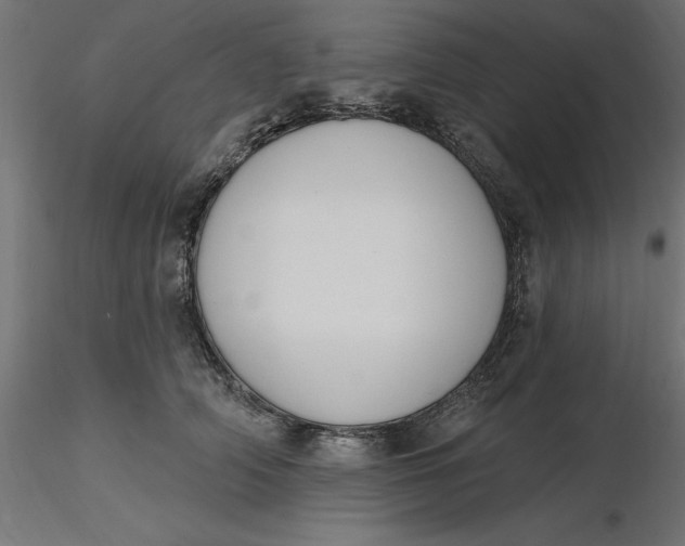 X0000116650706200912291616