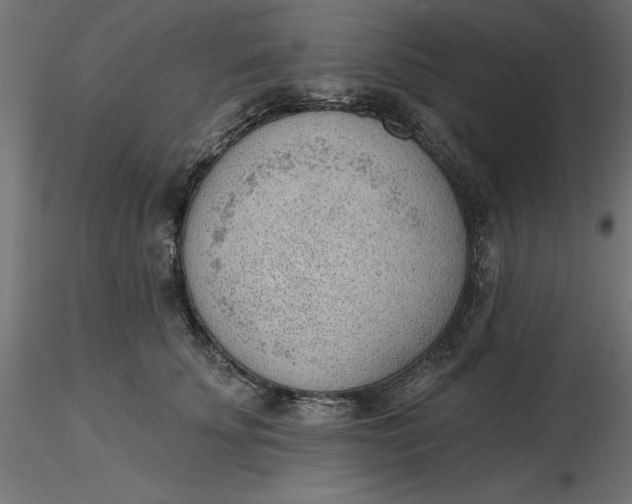 X0000116650707200912291616