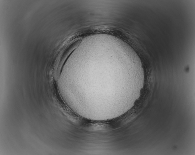 X0000116650708200912291616