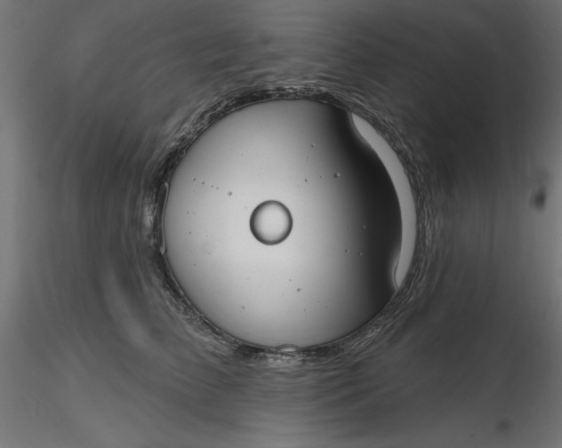 X0000116650709200912291616