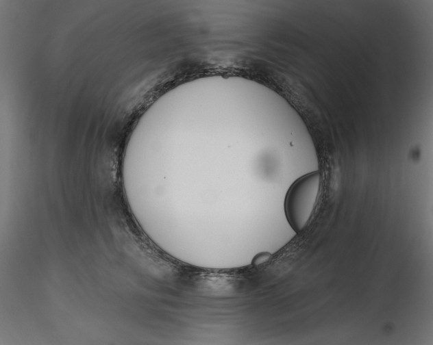 X0000116650710200912291616