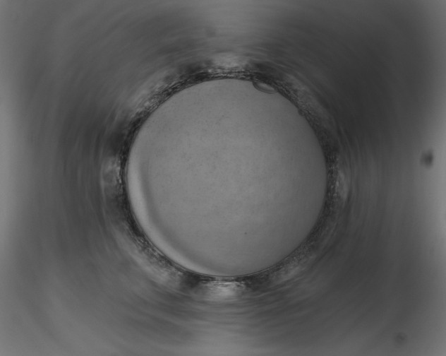 X0000116650711200912291616