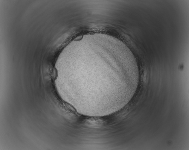 X0000116650712200912291616