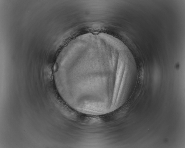 X0000116650715200912291616