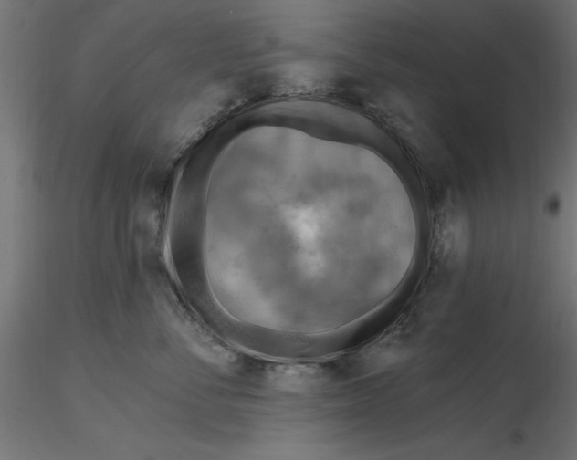 X0000116650716200912291616