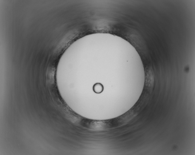 X0000116650717200912291616