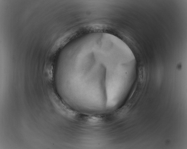 X0000116650718200912291616