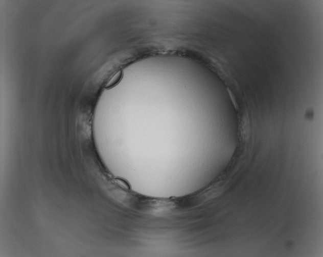 X0000116650719200912291616