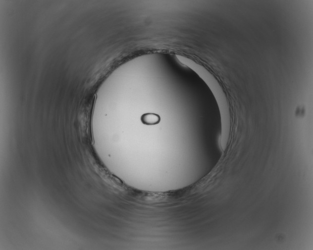 X0000116650720200912291616