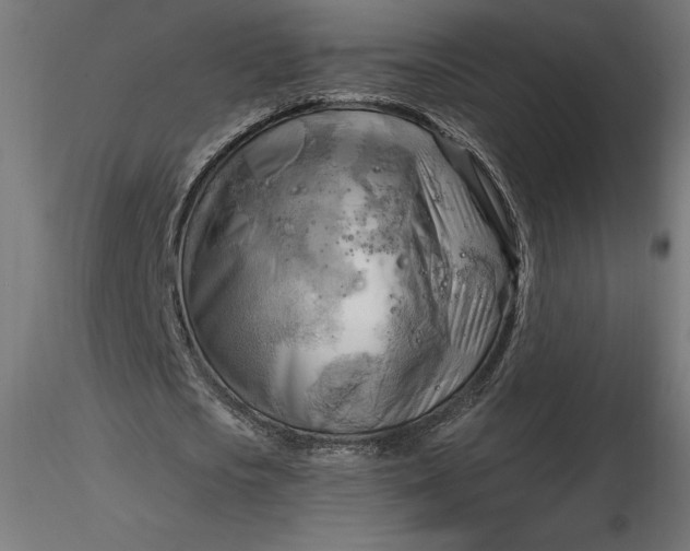 X0000116650721200912291615