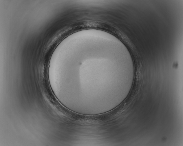 X0000116650722200912291615