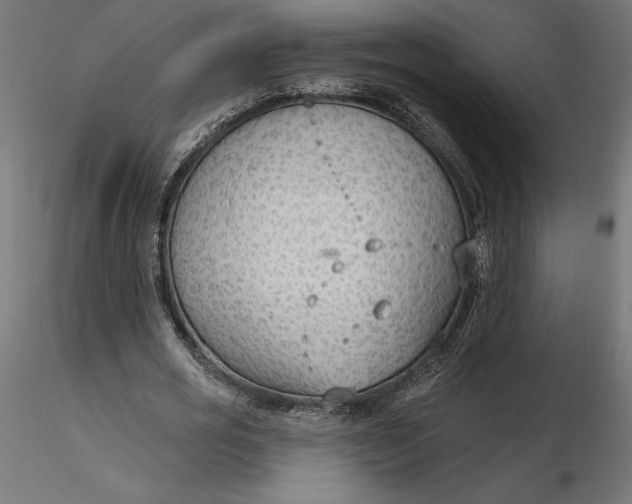 X0000116650725200912291615