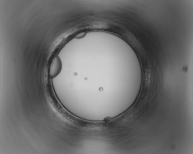 X0000116650726200912291615