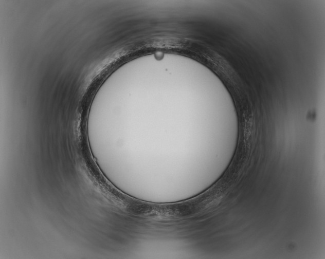 X0000116650727200912291615