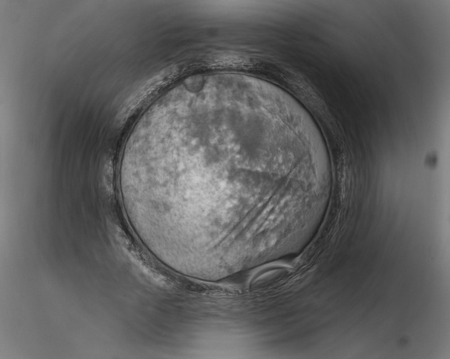 X0000116650729200912291615