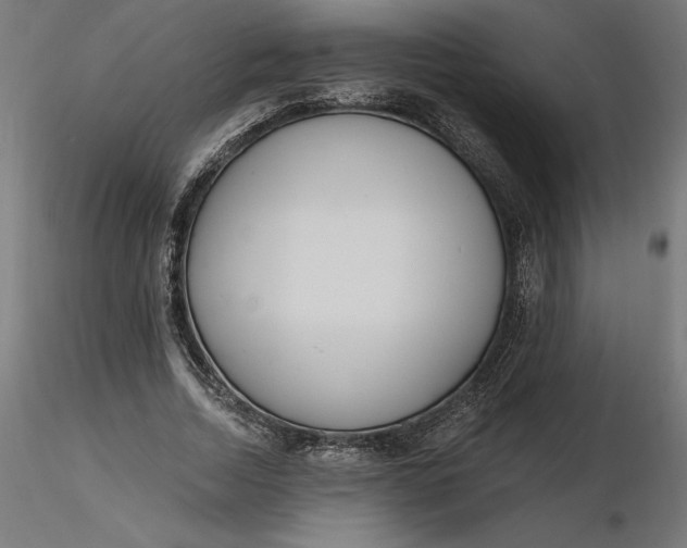 X0000116650730200912291615