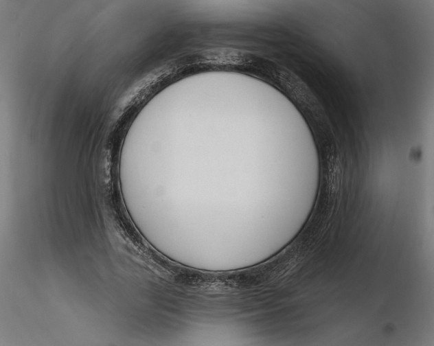 X0000116650731200912291615