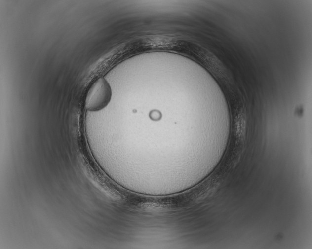 X0000116650733200912291615